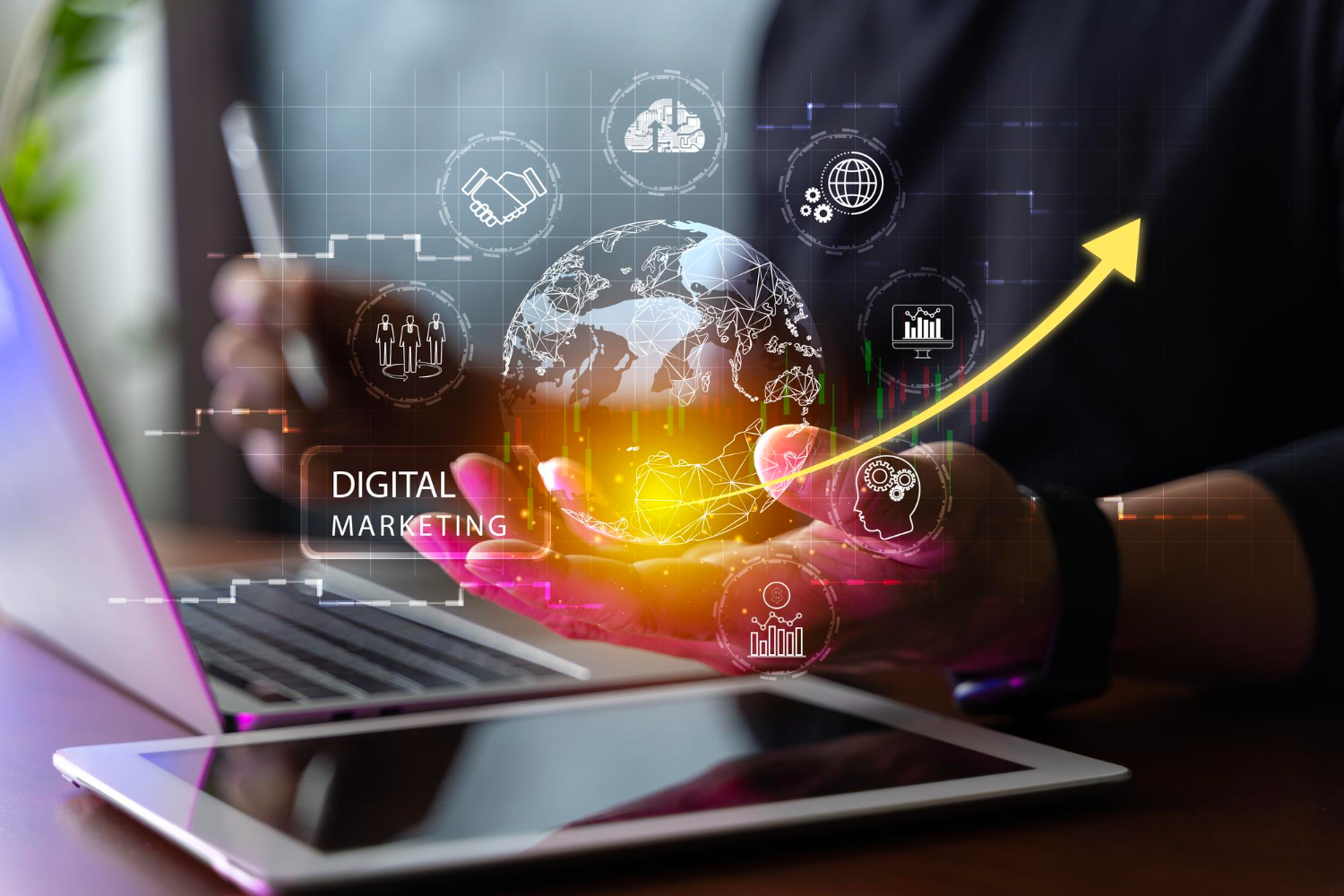 Digital Marketing Expert